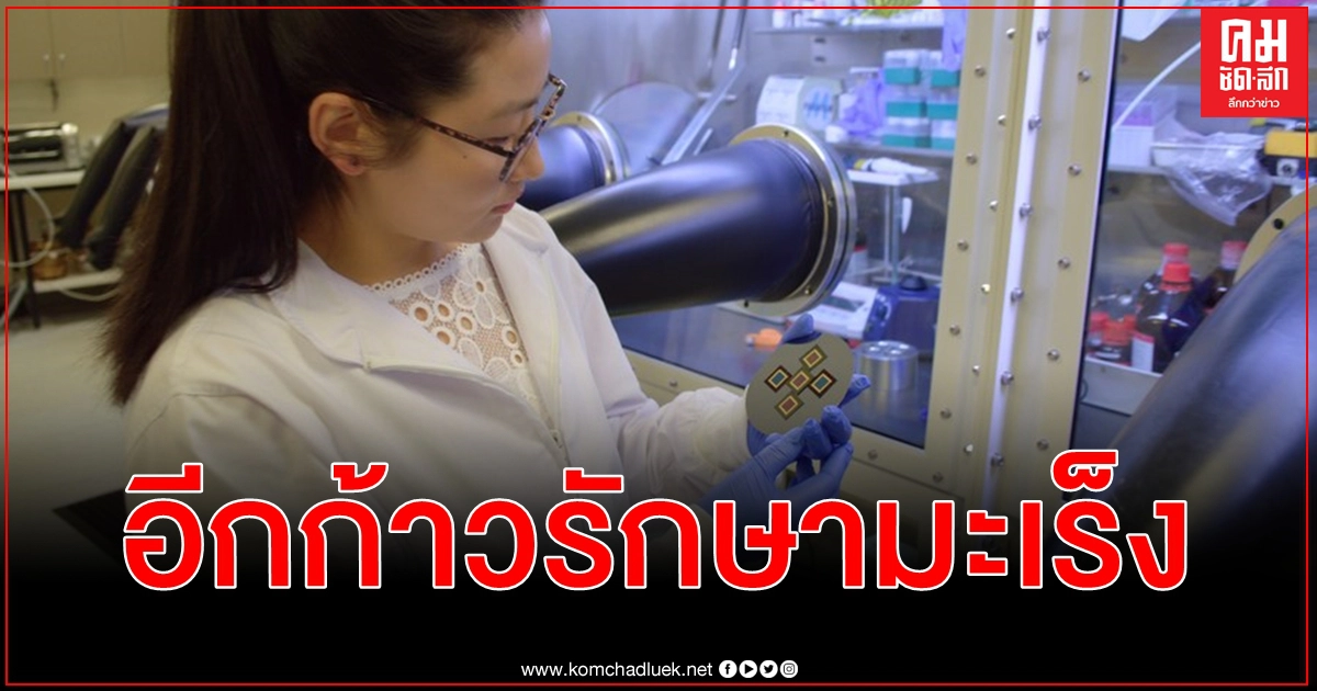 ออสเตรเลีย จ่อทดลอง ยารักษามะเร็งสมอง ในมนุษย์ ก้าวสำคัญของการรักษามะเร็งเต้านม - ปอด