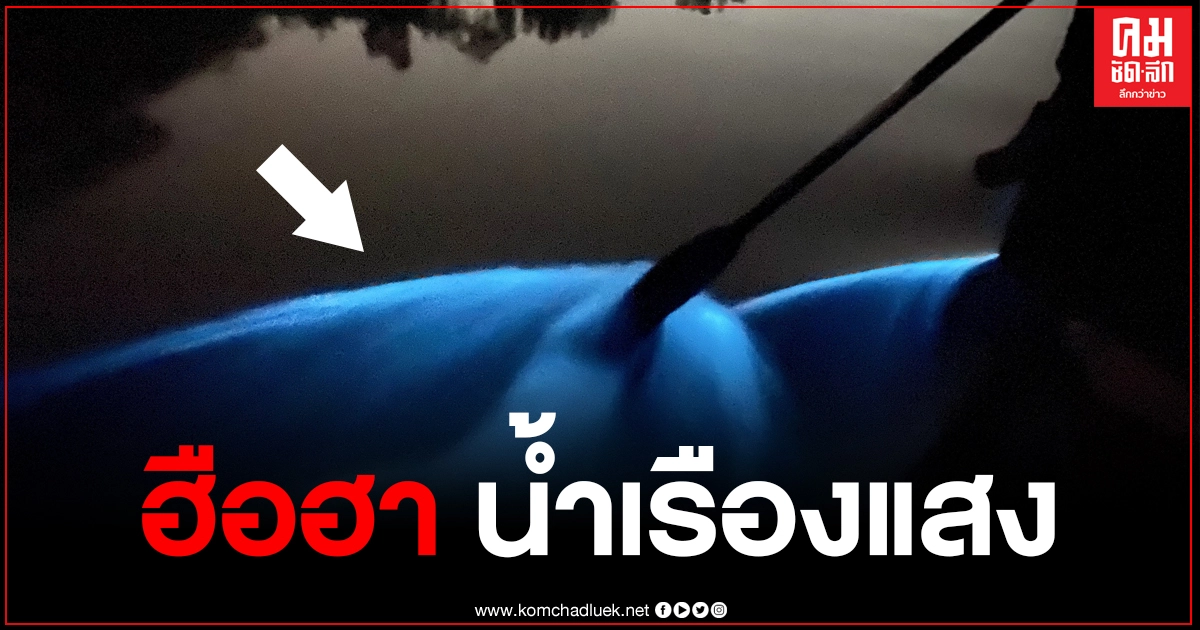 ฮือฮา อำเภอบางคล้า "แม่น้ำบางปะกง" เกิดปรากฏการณ์น้ำเรืองแสงสีฟ้า ฮือฮา อำเภอบางคล้า "แม่น้ำบางปะกง" เกิดปรากฏการณ์น้ำเรืองแสงสีฟ้า