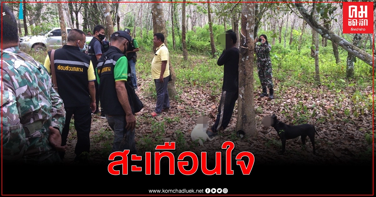 ปทส.ตามจับมือโพสต์คลิปสุนัขรุมกัดตัวนิ่มว่อนติ๊กต็อก สะเทือนใจชาวเน็ต ปทส.ตามจับมือโพสต์คลิปสุนัขรุมกัดตัวนิ่มว่อนติ๊กต็อก สะเทือนใจชาวเน็ต