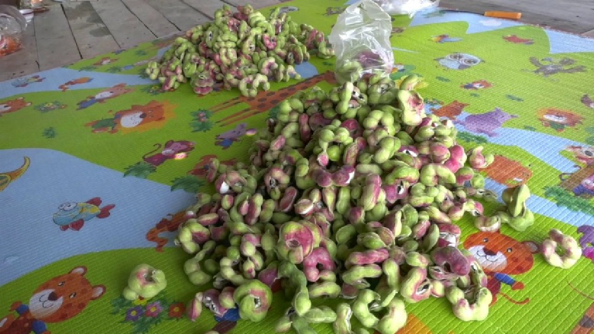 มะขามเทศ, มะขามเทศเพชรโนนไทย