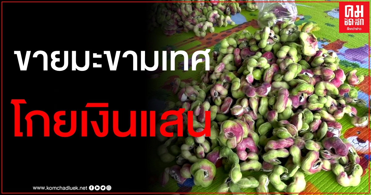 เกษตรกรโคราชยิ้มออก ปลูก "มะขามเทศเพชรโนนไทย" ขาย 3 เดือนโกยเงินแสน เกษตรกรโคราชยิ้มออก ปลูก "มะขามเทศเพชรโนนไทย" ขาย 3 เดือนโกยเงินแสน