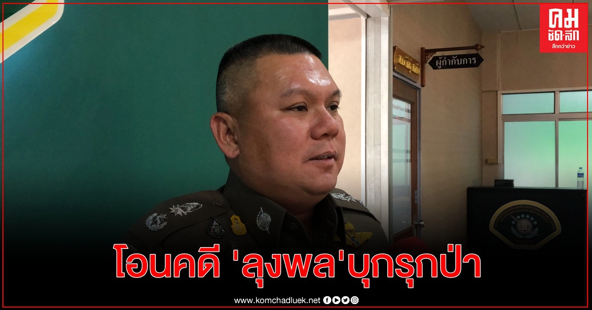 เสนอโอนคดี ลุงพล บุกรุกป่าสงวนให้ปทส.ดูแล จ่อออกหมายเรียกผู้กระทำผิด
