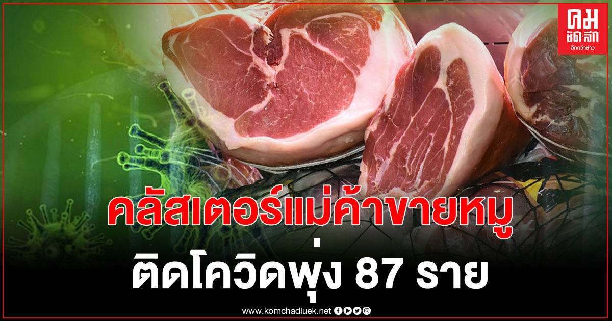 ศบค.เผยคลัสเตอร์แม่ค้าขายหมู ตระเวนรับหมูหลายจังหวัด  ทำเชื้อโควิดกระจายติดเชื้อ 87 ราย  อีก 3 ราย ยังระบุจังหวัดไม่ได้ 