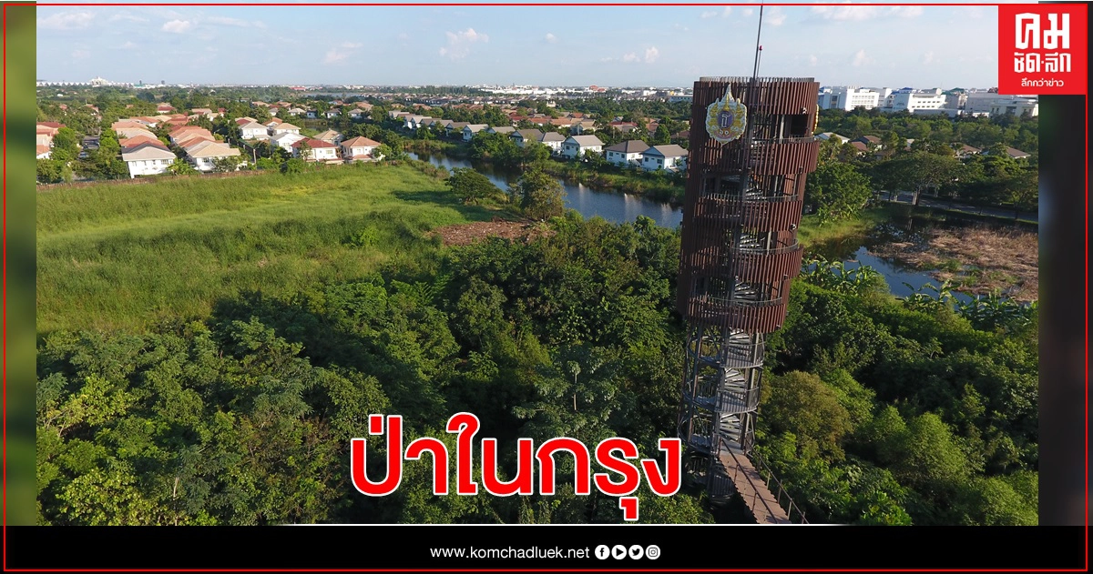 ศูนย์การเรียนรู้ป่าในกรุง ปตท. ลดฝุ่น-เพิ่มอ๊อกซิเจน เพื่อชีวิตคนเมือง ศูนย์การเรียนรู้ป่าในกรุง ปตท. ลดฝุ่น-เพิ่มอ๊อกซิเจน เพื่อชีวิตคนเมือง