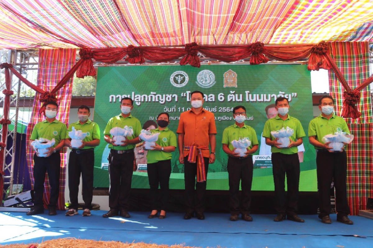 ดีเดย์  ปลูกกัญชา 6 ต้น โนนมาลัยโมเดล  สร้างเศรษฐกิจชุมชน