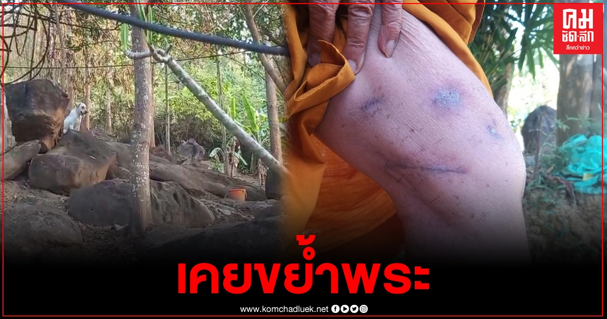 สุนัขดุร้าย 8 ตัวหลุดออกจากกุฎิ หวั่นเกิดอันตราย ก่อนหน้าเคยขย้ำพระมาแล้วเย็บถึง 27 เข็ม สุนัขดุร้าย 8 ตัวหลุดออกจากกุฎิ หวั่นเกิดอันตราย ก่อนหน้าเคยขย้ำพระมาแล้วเย็บถึง 27 เข็ม
