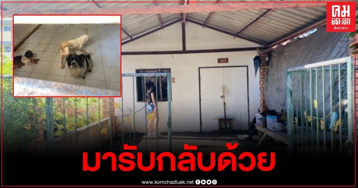เจ้าของบ้านเช่า โพสต์เฟสถึงคนเช่าให้มารับน้องหมาจำนวน หลายตัวที่ทิ้งไว้มาเอากลับไปด้วย เจ้าของบ้านเช่า โพสต์เฟสถึงคนเช่าให้มารับน้องหมาจำนวน หลายตัวที่ทิ้งไว้มาเอากลับไปด้วย
