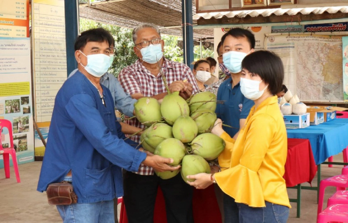 กรมส่งเสริมสหกรณ์ชวนสมาชิกรวมพลังจัดตั้งแปลงใหญ่สหกรณ์ส่องโมเดล"ถั่วเหลืองเชียงใหม่-มะพร้าวน้ำหอมวัดเพลง" 