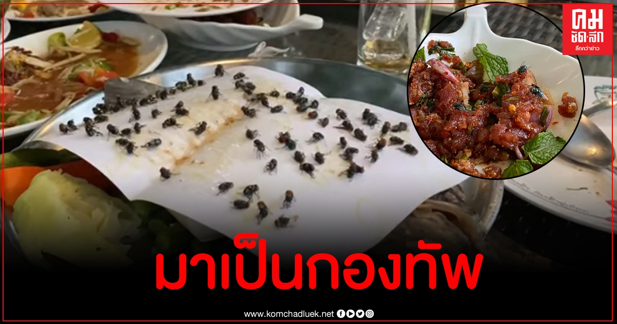 ไม่ไหวจะเคลียร์ หนุ่มโวยกินอาหารร้านดังเจอแมลงวันมาเป็นกองทัพ 