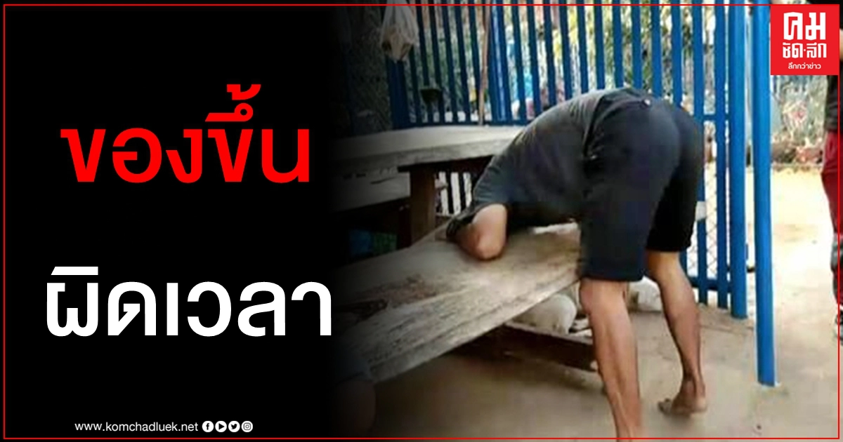 ฮาลั่น โจรขโมยรถจยย.หนีข้ามจังหวัด สุดท้ายโดนตำรวจรวบเพราะของขึ้นผิดเวลา ฮาลั่น โจรขโมยรถจยย.หนีข้ามจังหวัด สุดท้ายโดนตำรวจรวบเพราะของขึ้นผิดเวลา