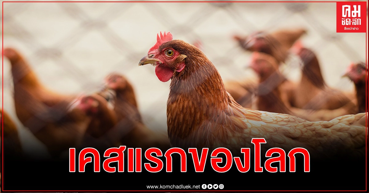 รัสเซียพบไวรัสไข้หวัดนก H5N8 แพร่จากสัตว์สู่คนเคสแรกของโลก รัสเซียพบไวรัสไข้หวัดนก H5N8 แพร่จากสัตว์สู่คนเคสแรกของโลก