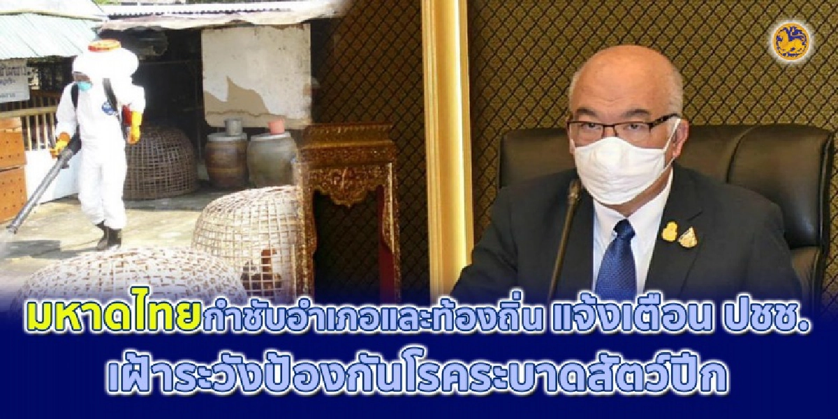 "มหาดไทย" กำชับอำเภอ และท้องถิ่น แจ้งเตือนประชาชนเฝ้าระวังป้องกันโรคระบาดสัตว์ปีก