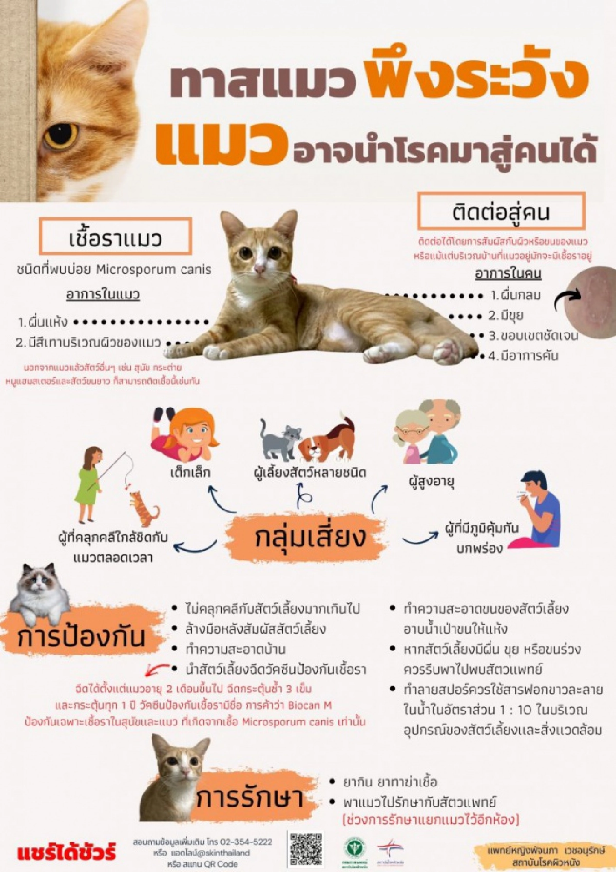 "แพทย์ผิวหนัง" เตือน ทาสแมวพึงระวัง แมวอาจนำโรคมาสู่คนได้