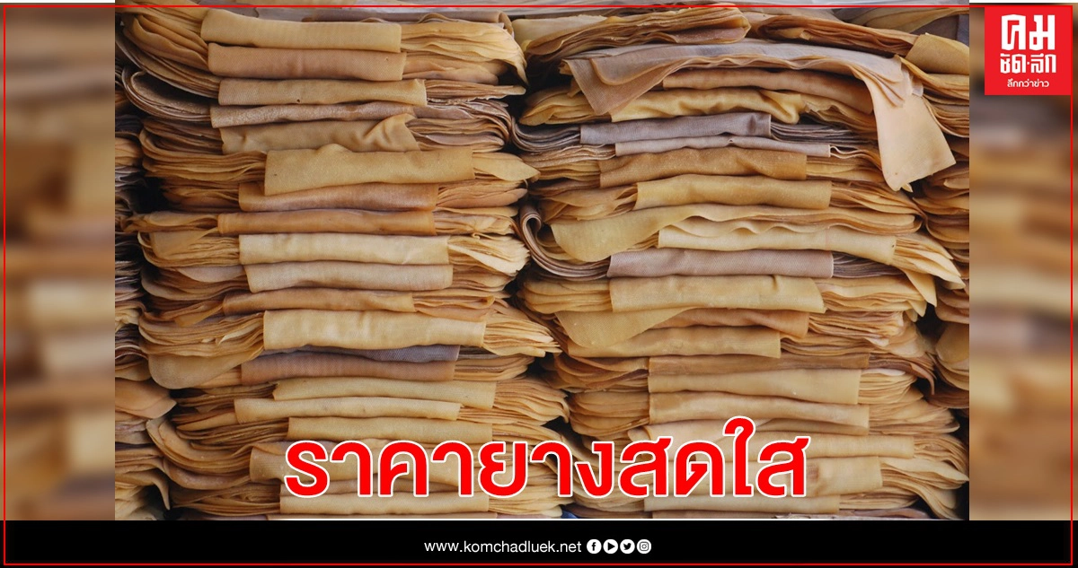 กยท.ฟันธง ปีนี้โอกาสทองราคายางสดใส คลอดมาตรการรักษาเสถียรภาพอย่างยั่งยืน กยท.ฟันธง ปีนี้โอกาสทองราคายางสดใส คลอดมาตรการรักษาเสถียรภาพอย่างยั่งยืน