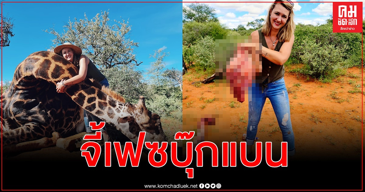 คนรักสัตว์ทนไม่ไหว เข้าชื่อเรียกร้องเฟซบุ๊กแบนพรานสาวควักหัวใจยีราฟอวดโลก 