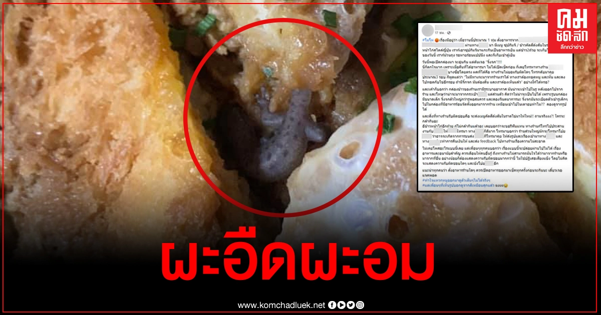 ลูกค้าสั่งข้าวคัตสึด้งร้านดัง ปรากฏว่าเจอจิ้งจกยัดไส้มาด้วย ถึงกับกินไม่ลง ลูกค้าสั่งข้าวคัตสึด้งร้านดัง ปรากฏว่าเจอจิ้งจกยัดไส้มาด้วย ถึงกับกินไม่ลง