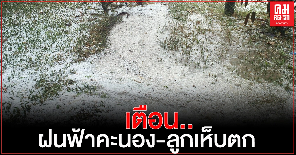 "กรมอุตุนิยมวิทยา" เตือนฝนฟ้าคะนอง-ลมกระโชกแรงและลูกเห็บตก "กรมอุตุนิยมวิทยา" เตือนฝนฟ้าคะนอง-ลมกระโชกแรงและลูกเห็บตก