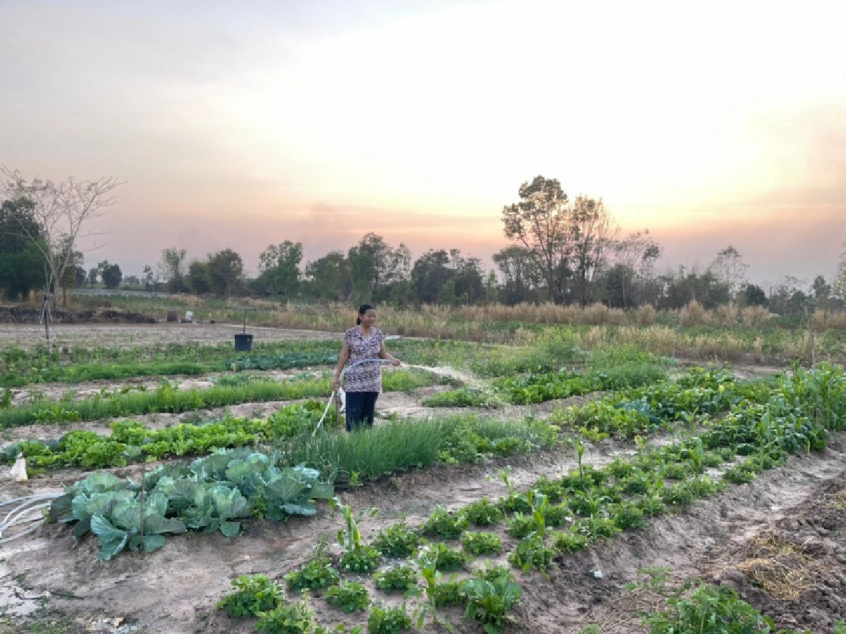 ปิดทองหลังพระฯ โชว์ผลงานปี 2563มีส่วนร่วมบรรเทาวิกฤติของประเทศ