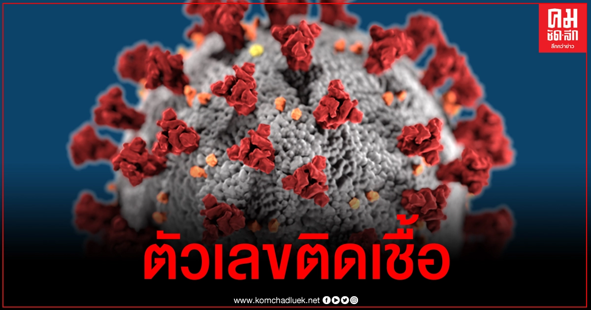 ด่วน ไทยพบผู้ติดเชื้อโควิด-19 เพิ่มวันนี้ 72 รายมาจาก 6 จังหวัด ด่วน ไทยพบผู้ติดเชื้อโควิด-19 เพิ่มวันนี้ 72 รายมาจาก 6 จังหวัด