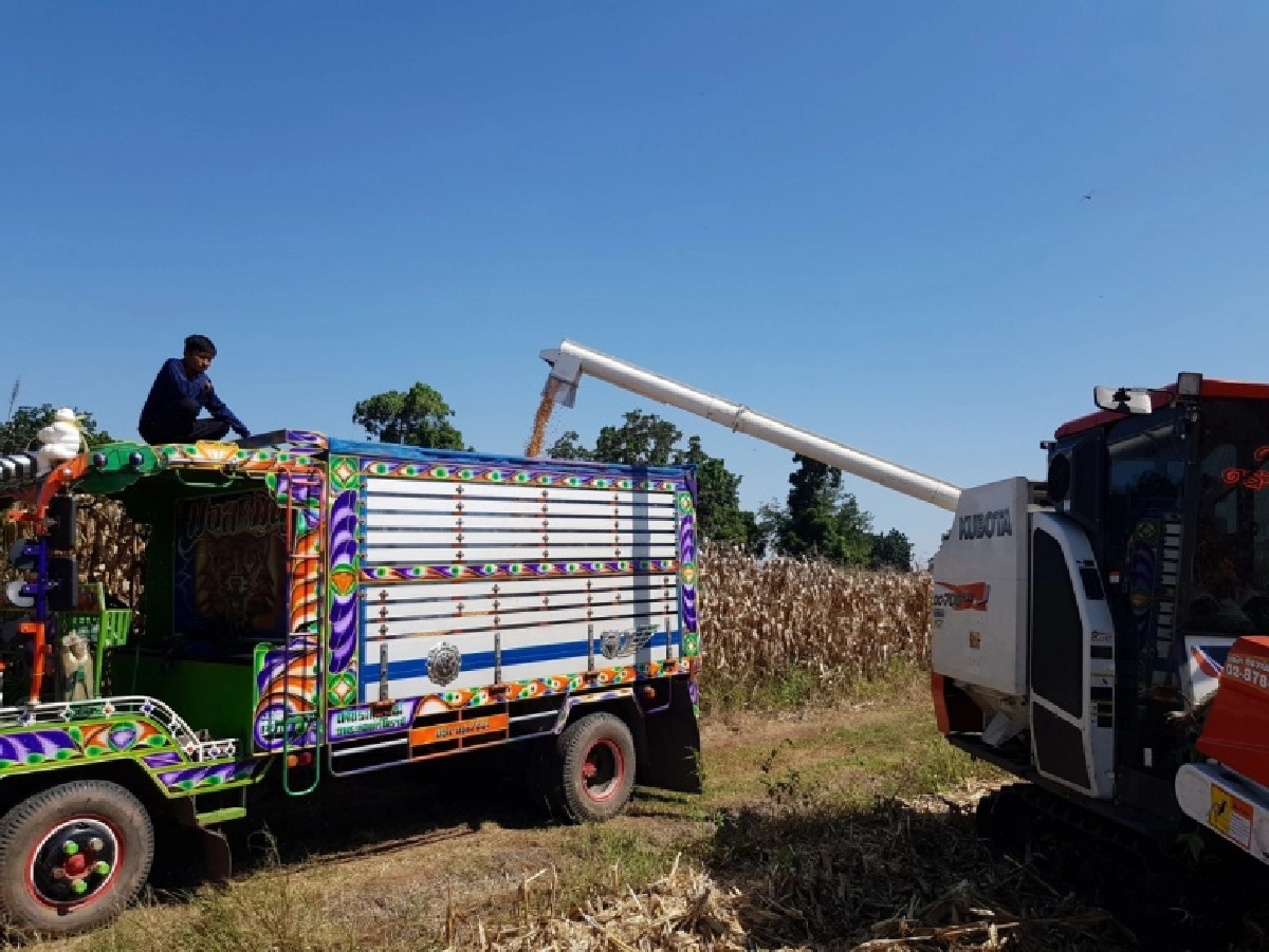 "CPF" โชว์ความสำเร็จ "เกษตรกรพึ่งตน ข้าวโพดยั่งยืน"​ ปลูกข้าวโพดรักษ์โลก สร้างรายได้ที่มั่นคง  