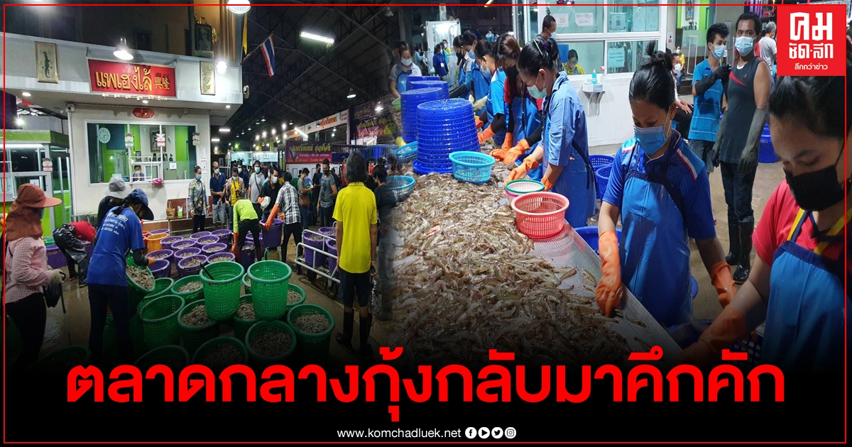 เปิดตลาดกลางกุ้งวันนี้ หลังปิดมานาน3เดือน พ่อค้าแม่ค้ากลับมาคึกคักอีกครั้ง