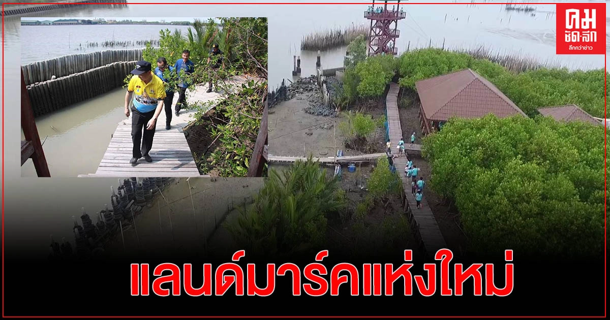 รองผู้ว่าฯสำรวจสถานที่ท่องเที่ยวเกาะธรรมชาติ รองผู้ว่าฯสำรวจสถานที่ท่องเที่ยวเกาะธรรมชาติ