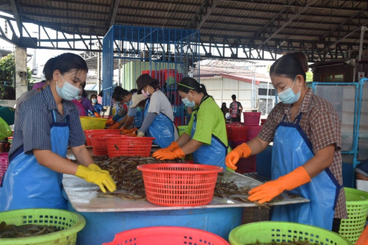 "อลงกรณ์"ชื่นชมตลาดกลางกุ้งสมุทรสาครคุมเข้มมาตรการโควิด19 สร้างความเชื่อมั่นทำยอดขายพุ่ง