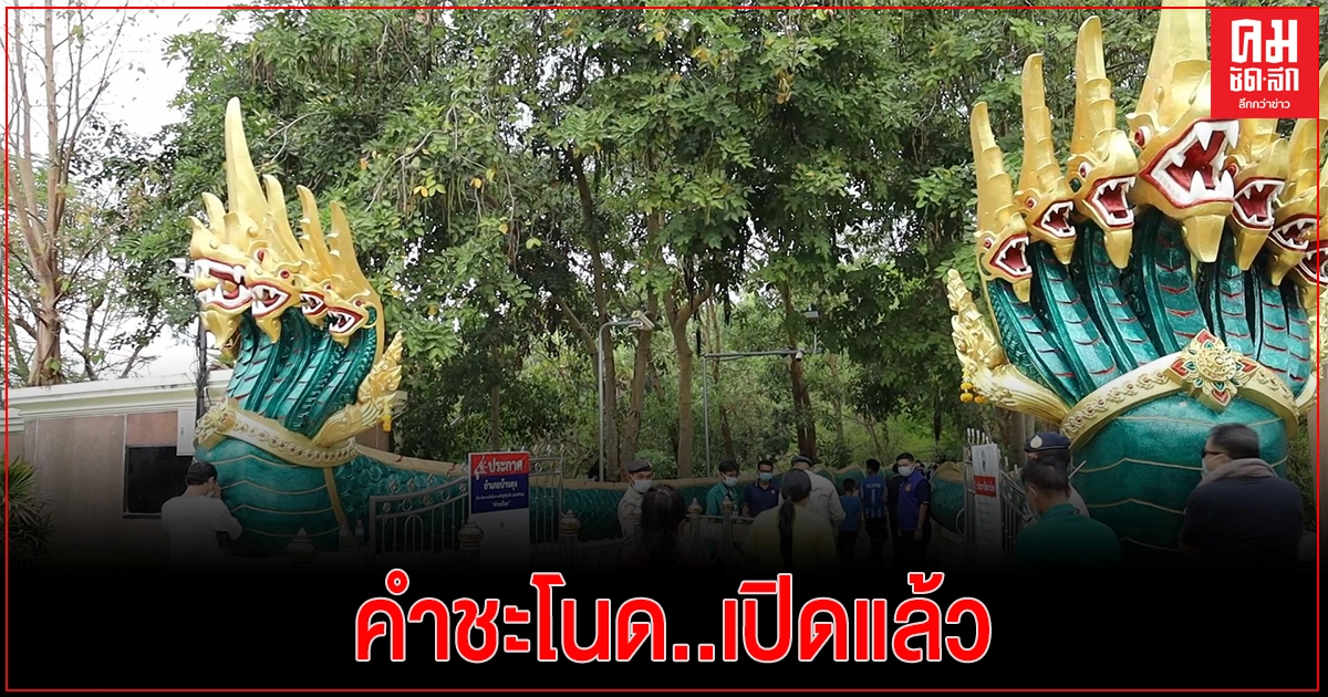 เปิดแล้วคำชะโนด ให้เข้าไปเข้ากราบเจ้าปู่ศรีสุทโธและเจ้าย่าศรีปทุมมาได้รอบละ 50 คน เปิดแล้วคำชะโนด ให้เข้าไปเข้ากราบเจ้าปู่ศรีสุทโธและเจ้าย่าศรีปทุมมาได้รอบละ 50 คน