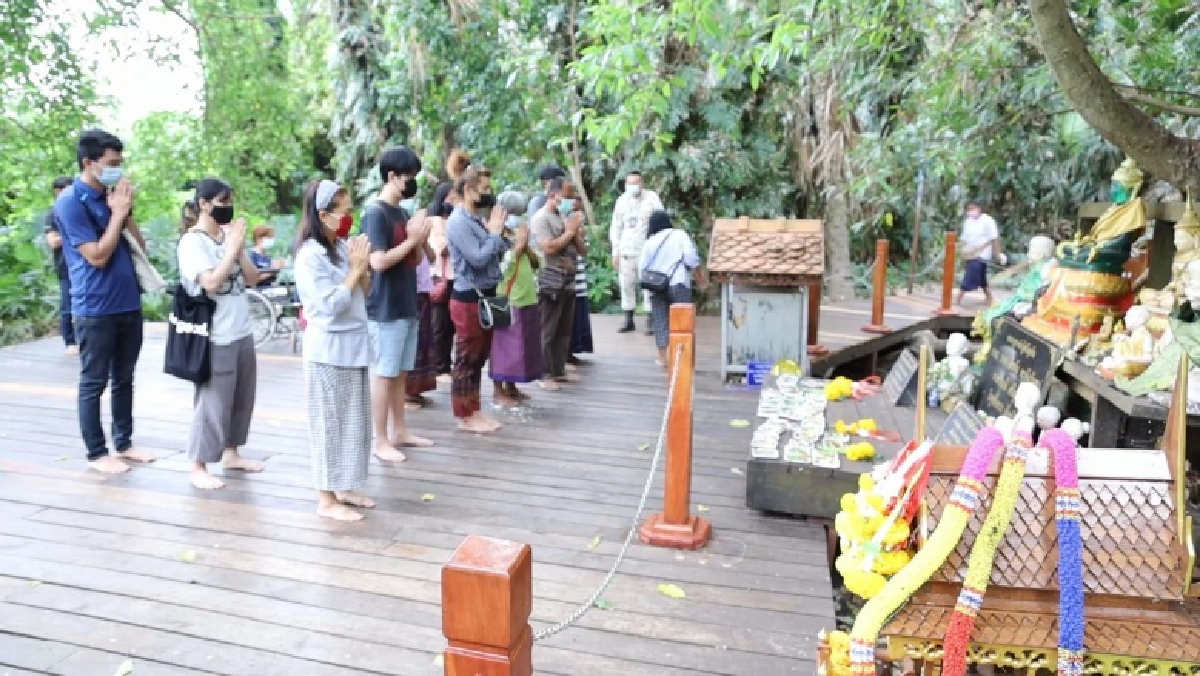 เปิดแล้วคำชะโนด ให้เข้าไปเข้ากราบเจ้าปู่ศรีสุทโธและเจ้าย่าศรีปทุมมาได้รอบละ 50 คน