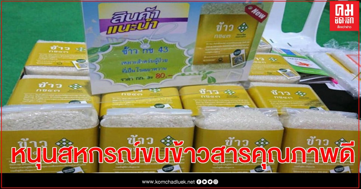 กรมส่งเสริมสหกรณ์หนุนสหกรณ์ขนข้าวสารคุณภาพดี กรมส่งเสริมสหกรณ์หนุนสหกรณ์ขนข้าวสารคุณภาพดี