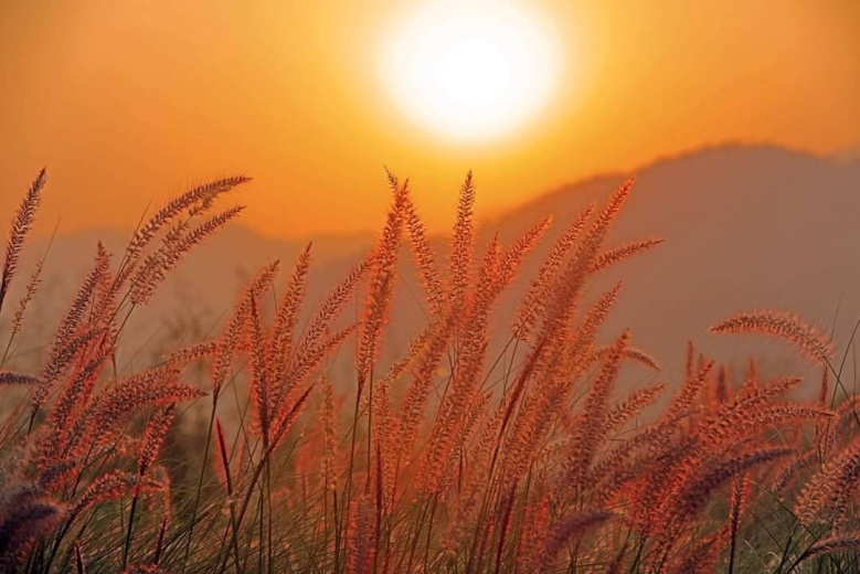  "โครงการร้อยใจรักษ์"  แลนด์มาร์ค จุดเช็คอินท่องเที่ยวใหม่ "บ้านห้วยส้าน" สวรรค์บนดอย