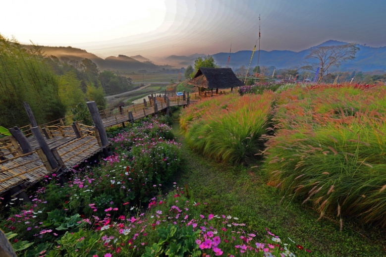  "โครงการร้อยใจรักษ์"  แลนด์มาร์ค จุดเช็คอินท่องเที่ยวใหม่ "บ้านห้วยส้าน" สวรรค์บนดอย