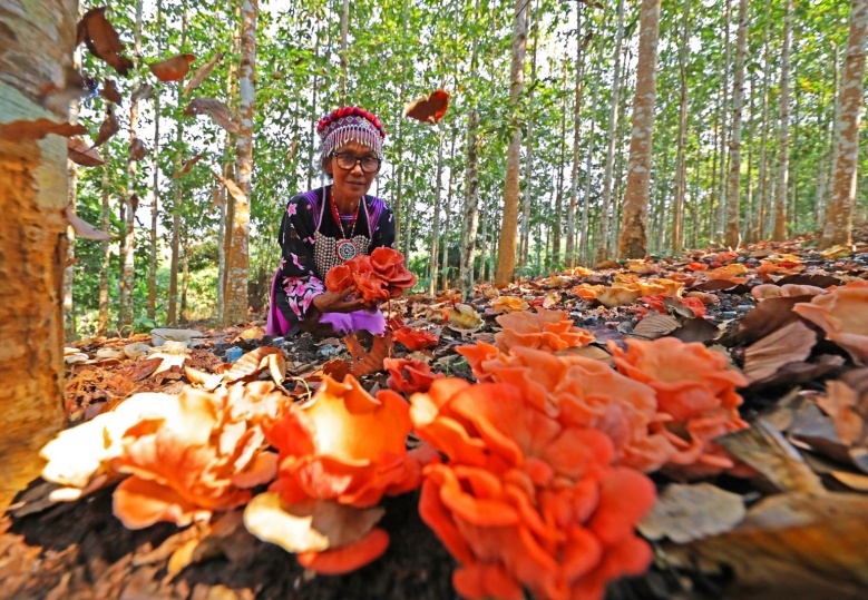  "โครงการร้อยใจรักษ์"  แลนด์มาร์ค จุดเช็คอินท่องเที่ยวใหม่ "บ้านห้วยส้าน" สวรรค์บนดอย