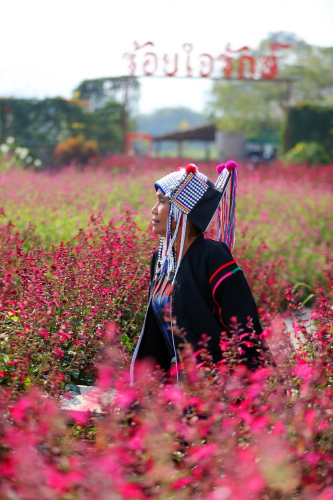  "โครงการร้อยใจรักษ์"  แลนด์มาร์ค จุดเช็คอินท่องเที่ยวใหม่ "บ้านห้วยส้าน" สวรรค์บนดอย
