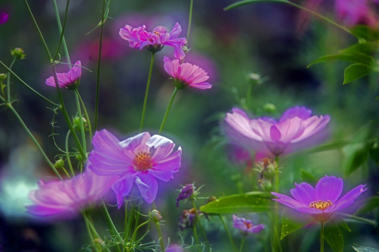  "โครงการร้อยใจรักษ์"  แลนด์มาร์ค จุดเช็คอินท่องเที่ยวใหม่ "บ้านห้วยส้าน" สวรรค์บนดอย