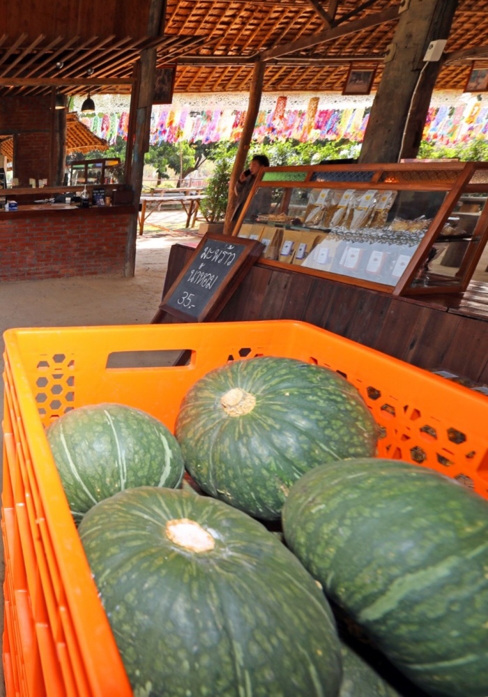 "โครงการร้อยใจรักษ์"  แลนด์มาร์ค จุดเช็คอินท่องเที่ยวใหม่ "บ้านห้วยส้าน" สวรรค์บนดอย