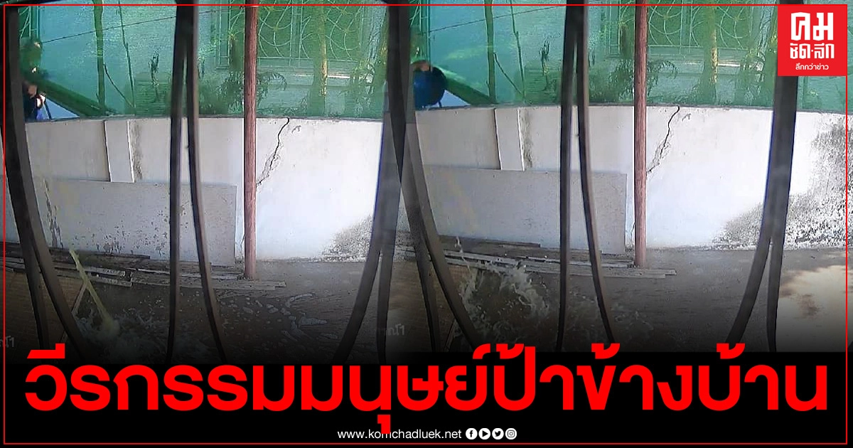 สาวสุดเซ็ง เจอมนุษย์ป้าข้างบ้าน สาดน้ำเน่าเหม็นข้ามกำแพงใส่บ้าน สาวสุดเซ็ง เจอมนุษย์ป้าข้างบ้าน สาดน้ำเน่าเหม็นข้ามกำแพงใส่บ้าน