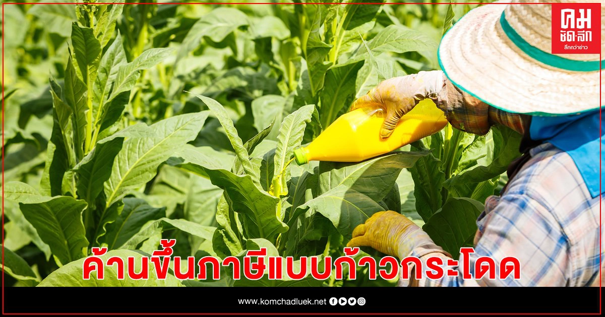 สหภาพ ยสท. - ชาวไร่ยาสูบ ค้านขึ้นภาษีบุหรี่ขั้นต่ำราคา 75 บาท สหภาพ ยสท. - ชาวไร่ยาสูบ ค้านขึ้นภาษีบุหรี่ขั้นต่ำราคา 75 บาท