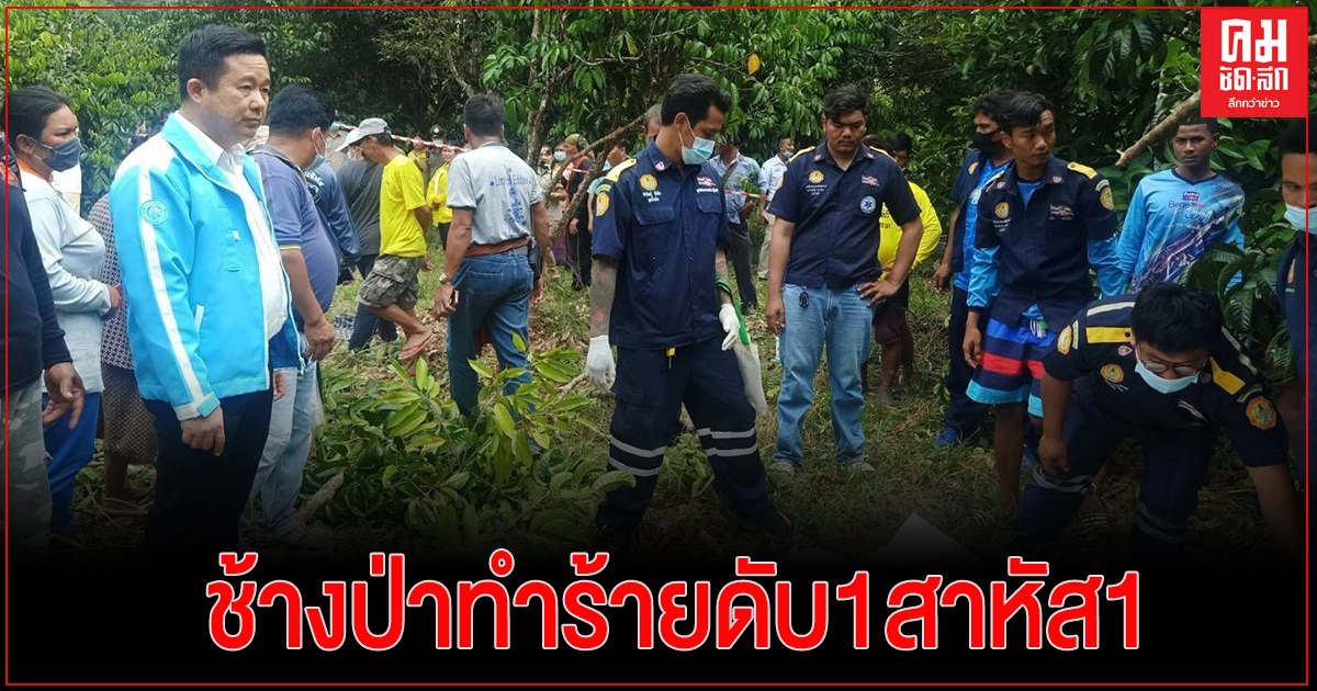 ช้างป่าทำร้ายชาวบ้านได้บาดเจ็บ1รายและเสียชีวิต 1 ราย อ.เขาชะเมา จ.ระยอง ช้างป่าทำร้ายชาวบ้านได้บาดเจ็บ1รายและเสียชีวิต 1 ราย อ.เขาชะเมา จ.ระยอง