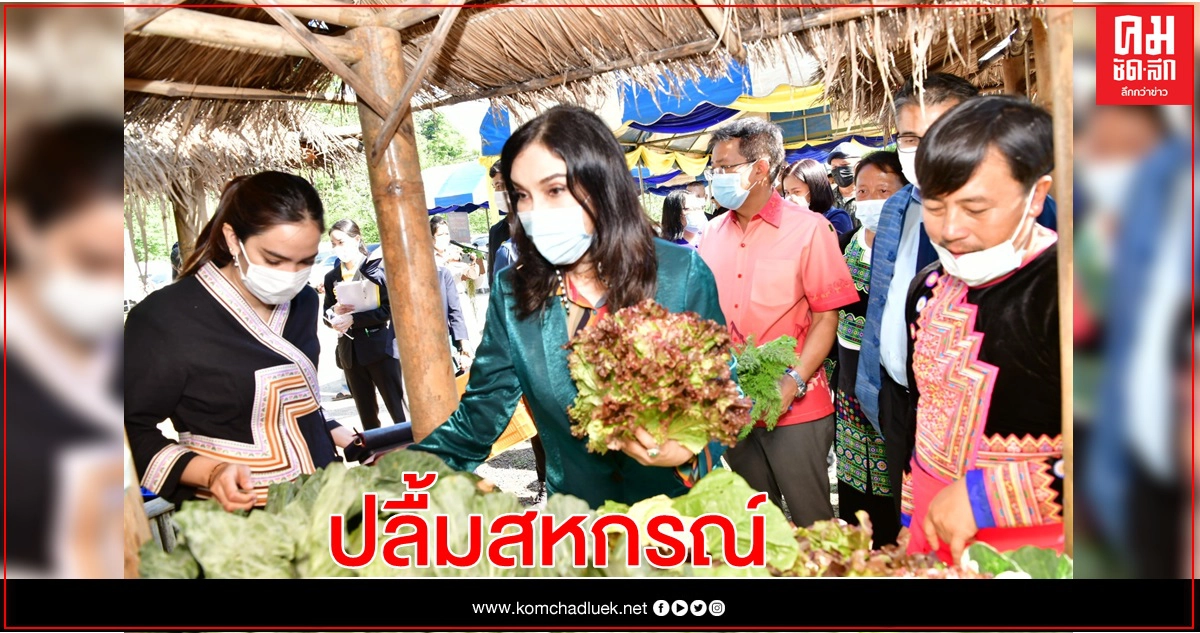 รมช.มนัญญา ปลื้มสหกรณ์ที่เพชรบูรณ์ส่งเสริมสมาชิกปลูกผักรายได้งาม หนุนจับมือจังหวัดขยายตลาดใกล้เคียง รมช.มนัญญา ปลื้มสหกรณ์ที่เพชรบูรณ์ส่งเสริมสมาชิกปลูกผักรายได้งาม หนุนจับมือจังหวัดขยายตลาดใกล้เคียง