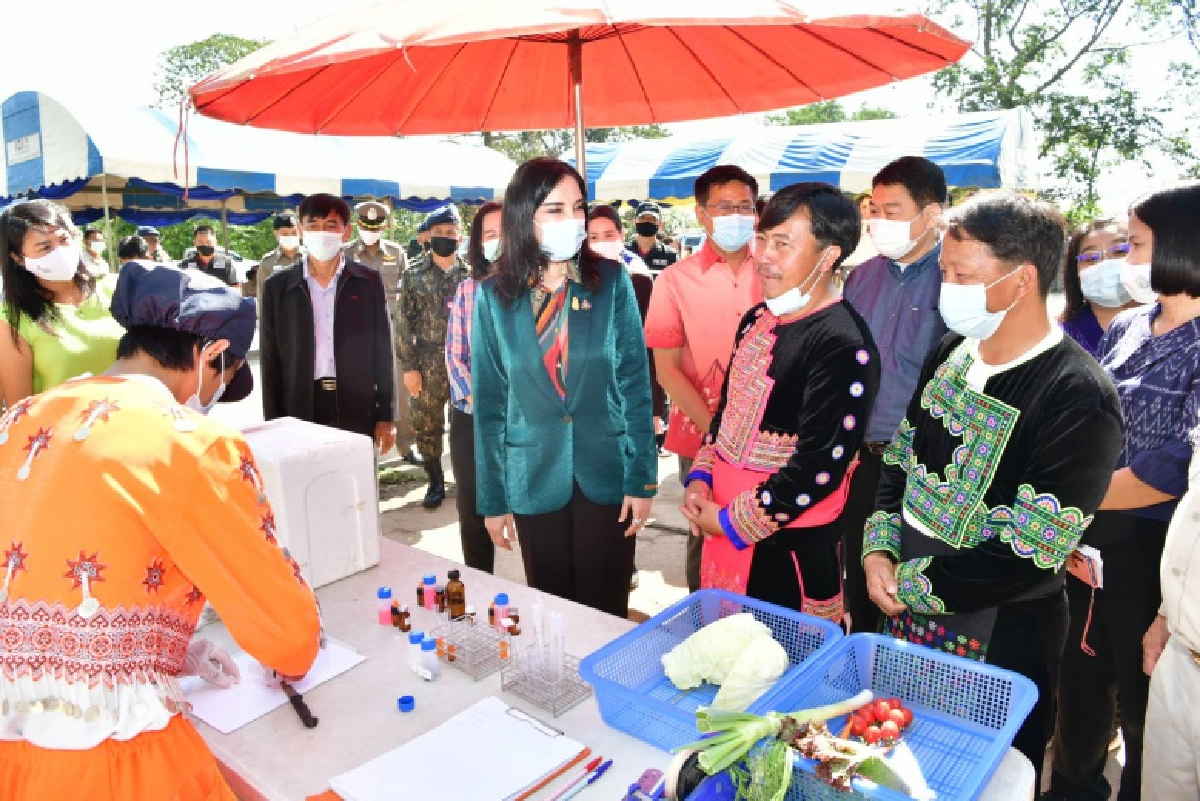 รมช.มนัญญา ปลื้มสหกรณ์ที่เพชรบูรณ์ส่งเสริมสมาชิกปลูกผักรายได้งาม  หนุนจับมือจังหวัดขยายตลาดใกล้เคียง
