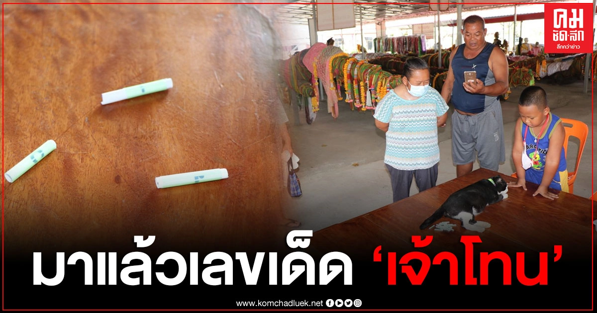 มาแล้วเลขเด็ด "เจ้าโทนแมวแม่ตะเคียน" เซียนหวยไม่พลาดนำเลขไปเสี่ยงโชค