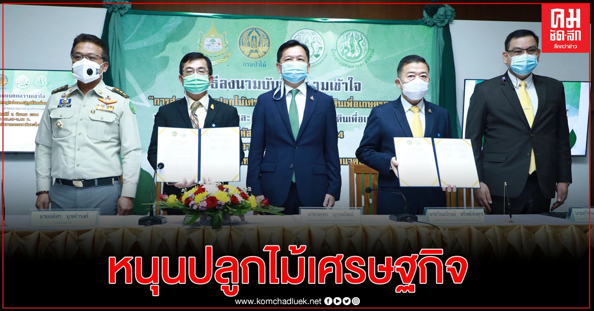 กรมป่าไม้ จับมือ ส.ป.ก. หนุนเกษตรกรปลูกไม้เศรษฐกิจ เสริมรายได้ กรมป่าไม้ จับมือ ส.ป.ก. หนุนเกษตรกรปลูกไม้เศรษฐกิจ เสริมรายได้