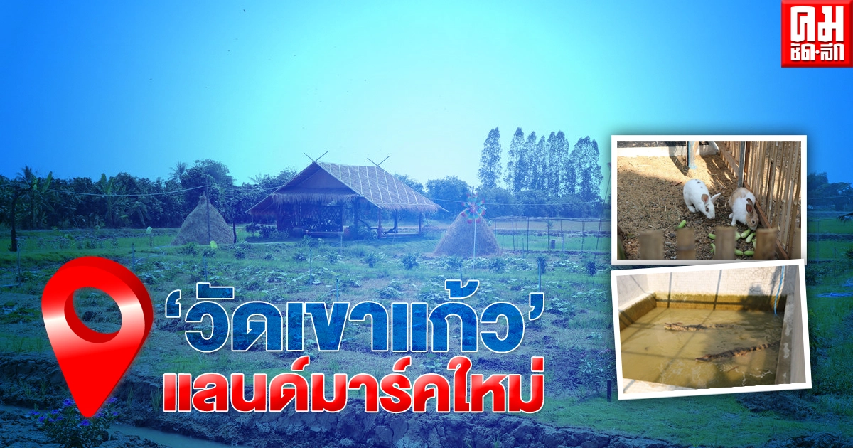 ฮือฮา... วัดเขาแก้วเลี้ยง "จระเข้" ให้ญาติโยม-นักท่องเที่ยวได้ชม ฮือฮา... วัดเขาแก้วเลี้ยง "จระเข้" ให้ญาติโยม-นักท่องเที่ยวได้ชม