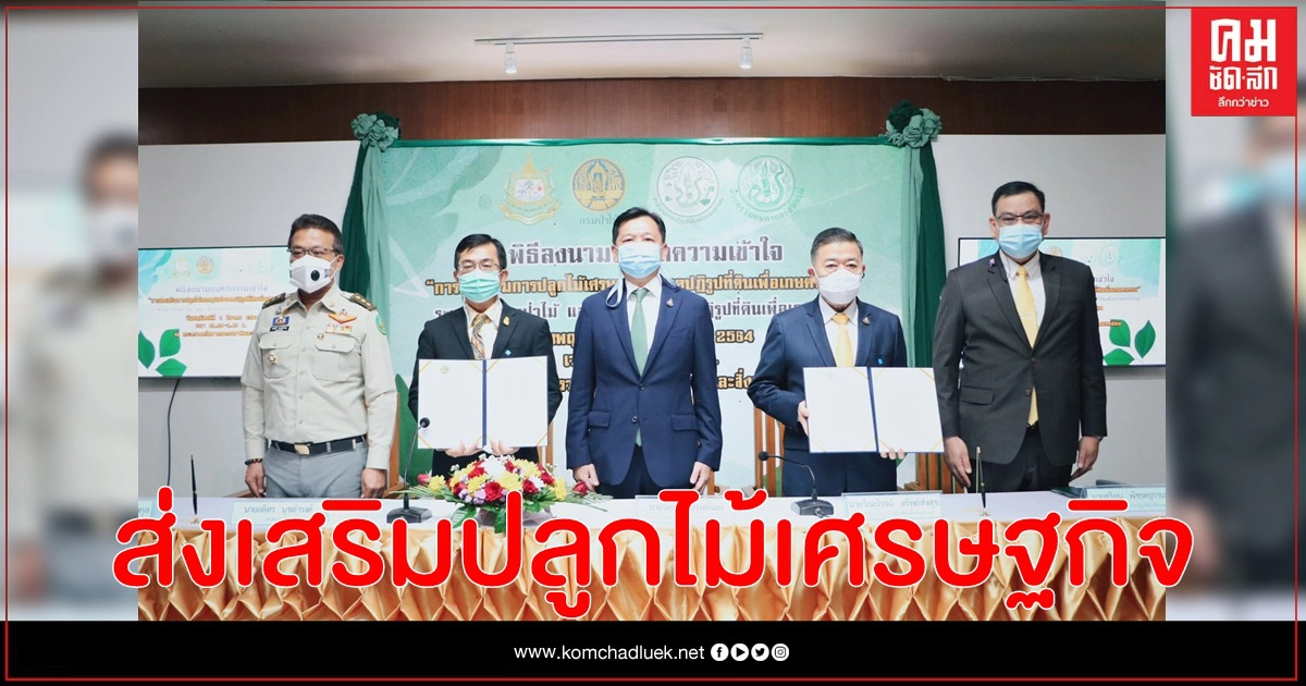 ส.ป.ก. จับมือ กรมป่าไม้ จัดพิธีลงนามบันทึกความเข้าใจการส่งเสริมการปลูกไม้เศรษฐกิจในเขตปฏิรูปที่ดินเพื่อเกษตรกรรม ส.ป.ก. จับมือ กรมป่าไม้ จัดพิธีลงนามบันทึกความเข้าใจการส่งเสริมการปลูกไม้เศรษฐกิจในเขตปฏิรูปที่ดินเพื่อเกษตรกรรม