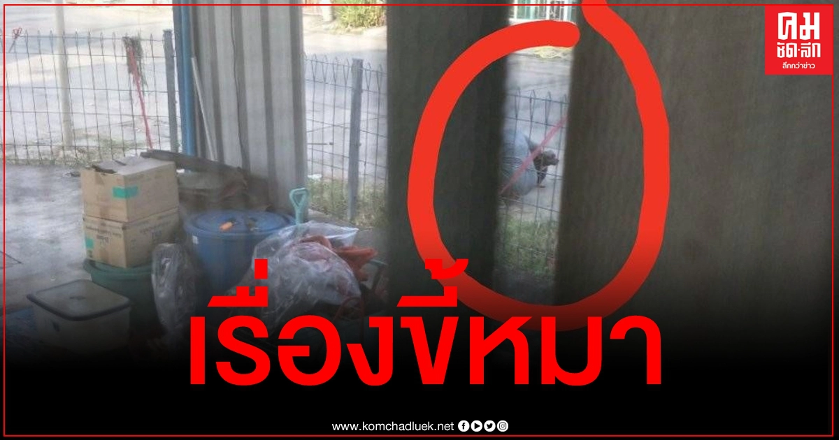 สุดทนเพื่อนบ้านแสบ พาหมามาอึหน้าบ้านทุกวัน เตือนไม่ฟังแถมยังขู่ "ระวังจะอยู่ได้ไม่นาน"
