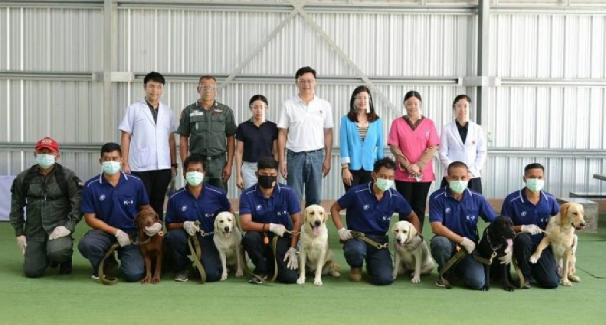  ครั้งแรกในไทย  จุฬาฯ วิจัยสำเร็จ "สุนัขดมกลิ่นหาผู้ติดเชื้อโควิด"