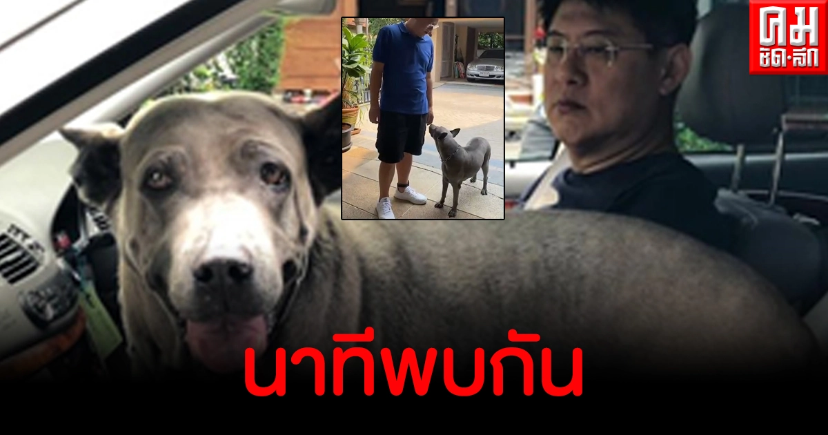 คลิป สรยุทธ เจอเจ้าลำดวนหมาที่บ้าน ลุ้นกันหมดว่าจะจำกันได้ไหม