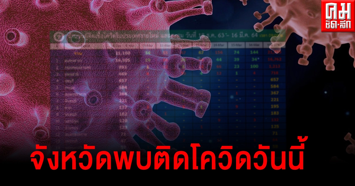 เปิดรายชื่อ 4 จังหวัดยังพบผู้ติดเชื้อโควิด-19 วันนี้ เปิดรายชื่อ 4 จังหวัดยังพบผู้ติดเชื้อโควิด-19 วันนี้