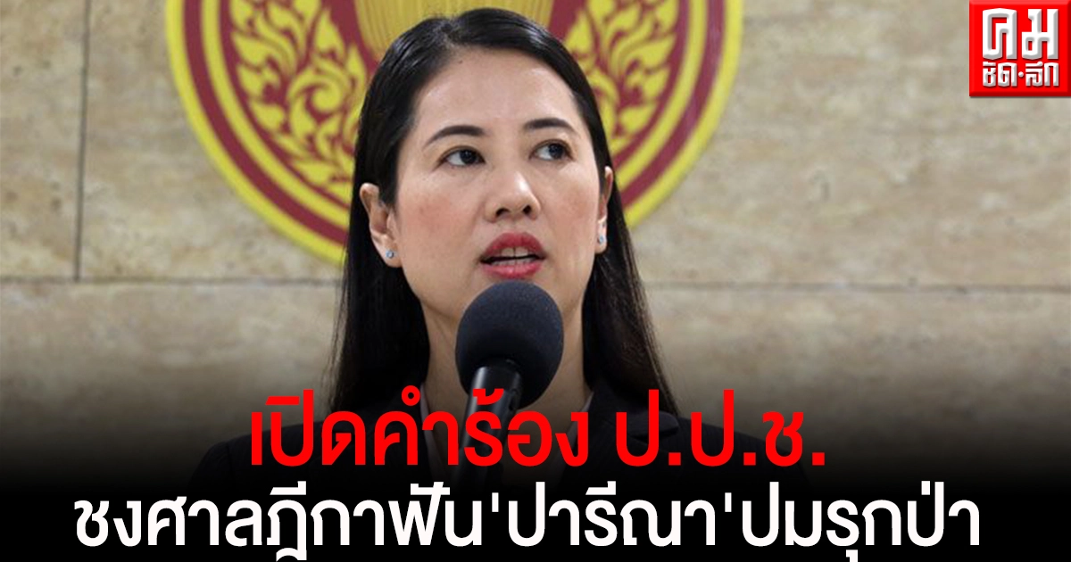 เปิดคำร้อง ป.ป.ช. ชงศาลฎีกาฟัน'ปารีณา' ปมรุกป่า